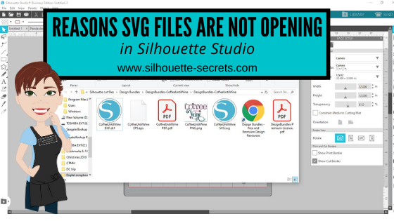 silhouette software business edition for mac